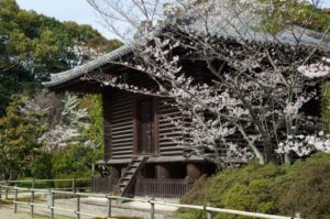 Constructions traditionnelles japonaises avec cerisier en fleurs
