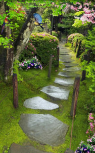 Jardin japonais sous la pluie